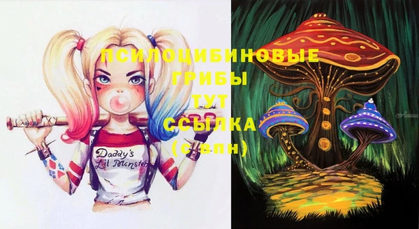 MESCALINE Баксан