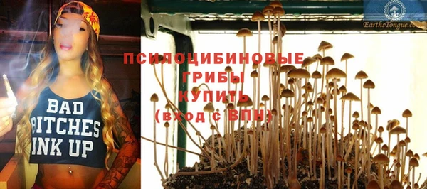 spice Балабаново