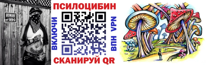 MEGA   Воронеж  Псилоцибиновые грибы мицелий 